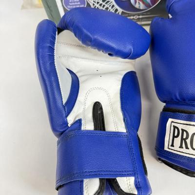 LOT 60: Let's Go Cavaliers Red Light Sign, Basketball Court Stencil, Proforce Blue Boxing Gloves & More