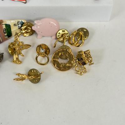 LOT 96: Variety of Small Pins