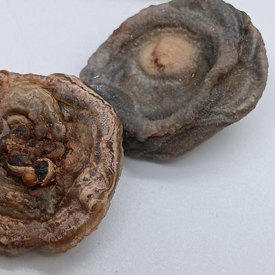 LOT 148: Vintage Costume Jewelry Earrings