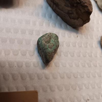 FOSSILS, PARTIAL ARROW HEADS AND NATIVE AMERICAN ARTIFACTS