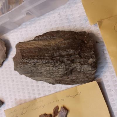 FOSSILS, PARTIAL ARROW HEADS AND NATIVE AMERICAN ARTIFACTS