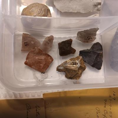 FOSSILS, PARTIAL ARROW HEADS AND NATIVE AMERICAN ARTIFACTS