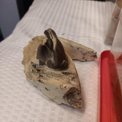 PART OF A ROCK HOUNDS COLLECTION