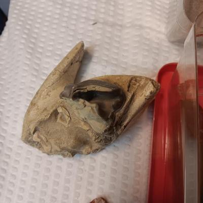 PART OF A ROCK HOUNDS COLLECTION