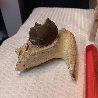 PART OF A ROCK HOUNDS COLLECTION