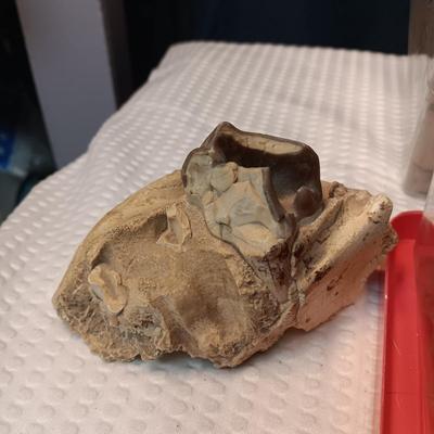 PART OF A ROCK HOUNDS COLLECTION