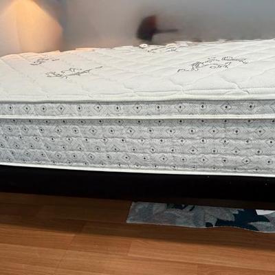 Sold Twin Serta Perfect Sleeper Mattress with adjustible frame