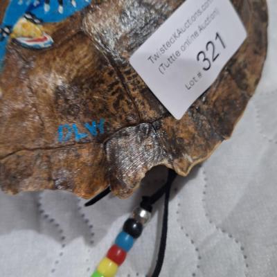 Native American-style art painted on a large turtle shell