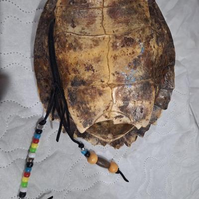 Native American-style art painted on a large turtle shell