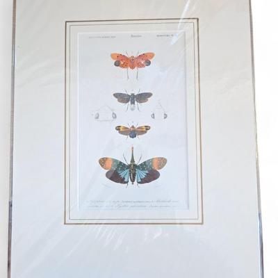 Antique and vintage prints