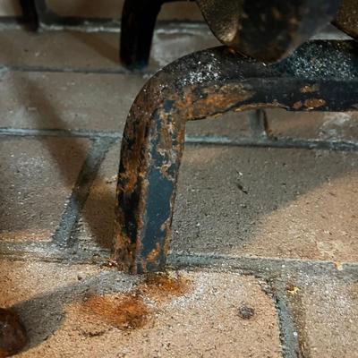 Cast Iron Fireplace Grate With Brass Finials on Andirons (LR-BC)