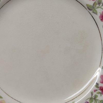 Vintage Fondeville Ambaassador Ware Dinner Plates- Six Pieces