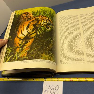 Vintage Animal Book Lot