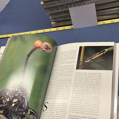 National Geographic Book Lot