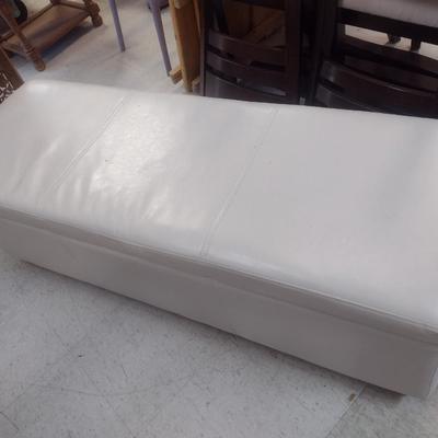 Vinyl Upholstered Storage Sitting Bench