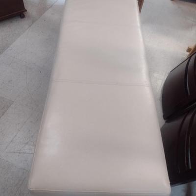 Vinyl Upholstered Storage Sitting Bench