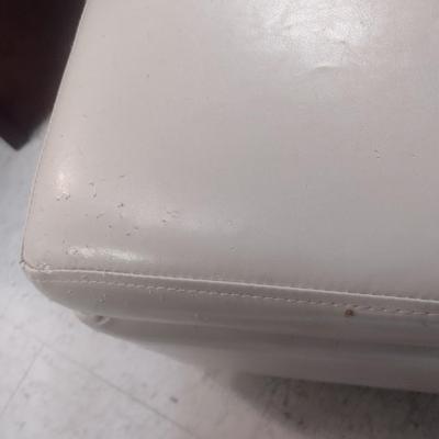 Vinyl Upholstered Storage Sitting Bench