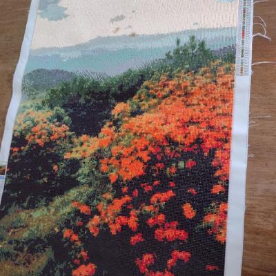 Collection of Completed Diamond Painting Pictures- Assorted Sizes