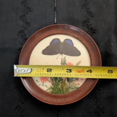 Pressed Butterfly and MB Parkinson Cupid