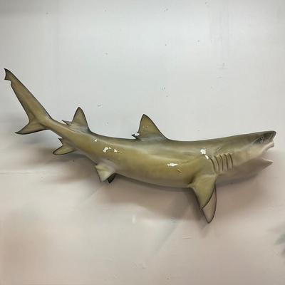 Sale Photo Thumbnail #204