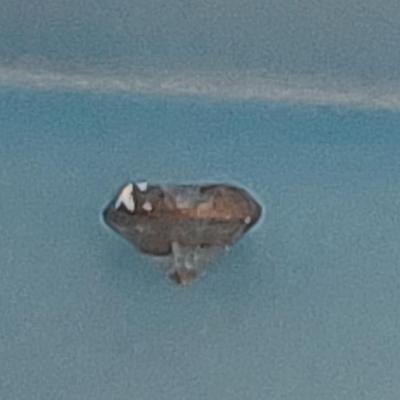 IGI CERTIFIED NATURAL DIAMOND 0.45 CT