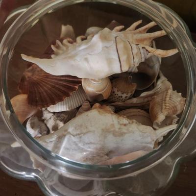 Bowl of shells