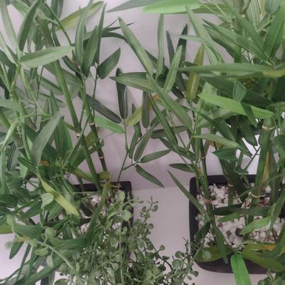 Assortment of Artificial Bozai and Bamboo Plants