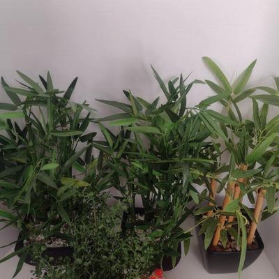 Assortment of Artificial Bozai and Bamboo Plants