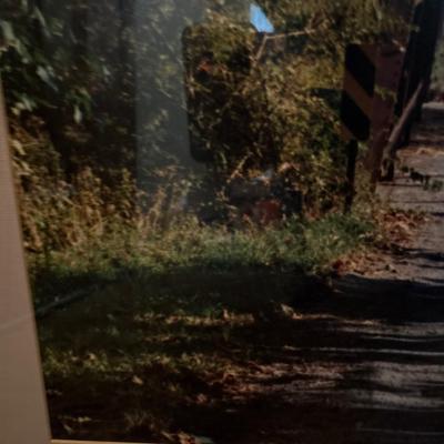 Two framed wall art pictures