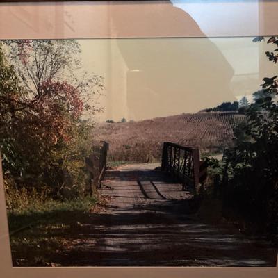 Two framed wall art pictures