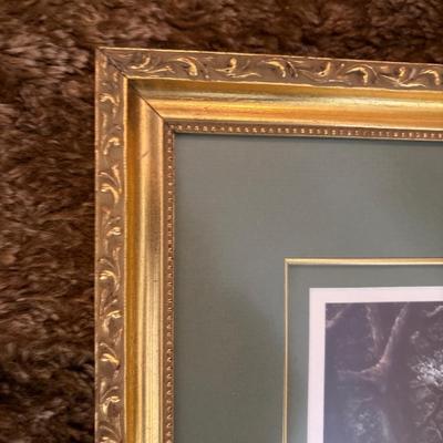 “Belle of St Charles” signed/numbered print