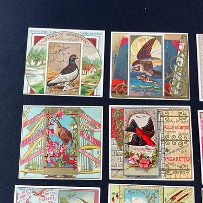 -94- TOBACCO | Allen & Ginter Tobacco Cards | Birds Of America Series