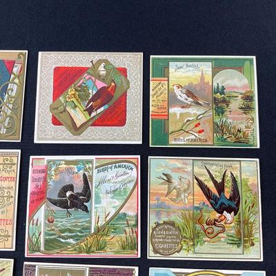 -94- TOBACCO | Allen & Ginter Tobacco Cards | Birds Of America Series
