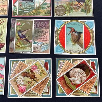 -94- TOBACCO | Allen & Ginter Tobacco Cards | Birds Of America Series