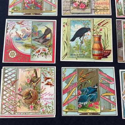 -94- TOBACCO | Allen & Ginter Tobacco Cards | Birds Of America Series