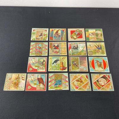 -94- TOBACCO | Allen & Ginter Tobacco Cards | Birds Of America Series
