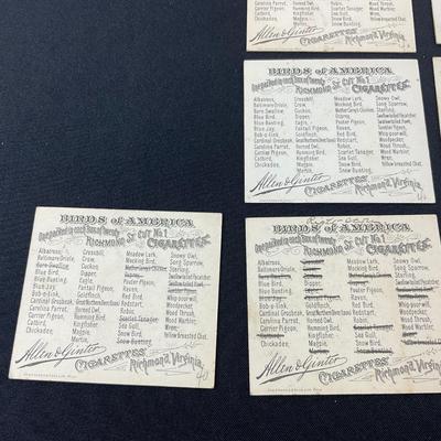 -94- TOBACCO | Allen & Ginter Tobacco Cards | Birds Of America Series