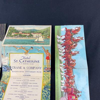 -115- POSTCARD | Assortment Of Folding Postcards | Damage