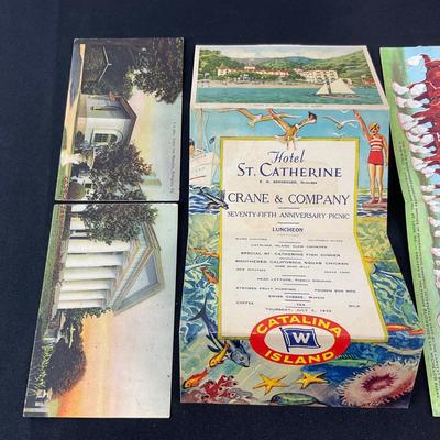 -115- POSTCARD | Assortment Of Folding Postcards | Damage