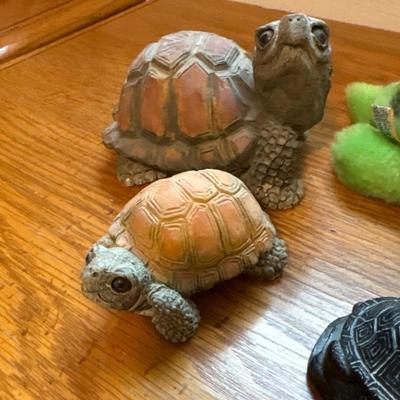 Turtle collection