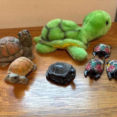 Turtle collection
