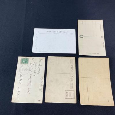 -119- POSTCARD | Assortment Of Animal Postcards