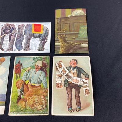 -119- POSTCARD | Assortment Of Animal Postcards