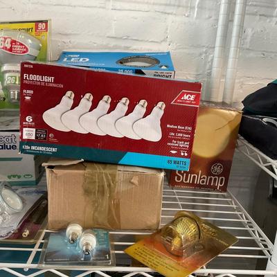 646 Lot of Various Lightbulbs