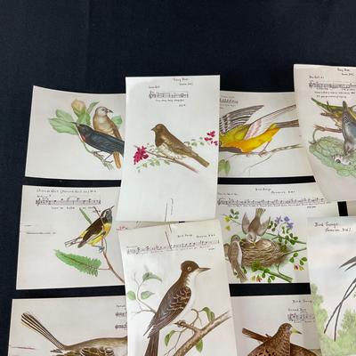 -165- POSTCARD | Assortment Of Bird Postcards