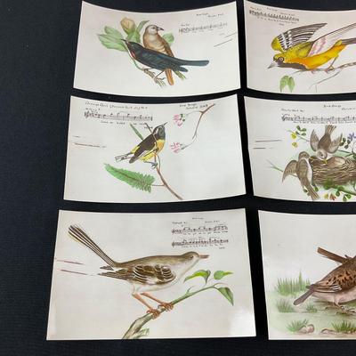 -165- POSTCARD | Assortment Of Bird Postcards