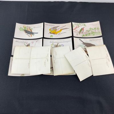 -165- POSTCARD | Assortment Of Bird Postcards