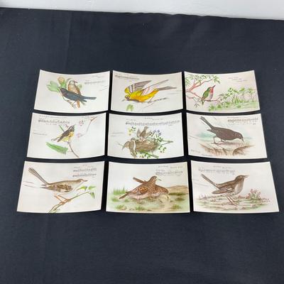 -165- POSTCARD | Assortment Of Bird Postcards