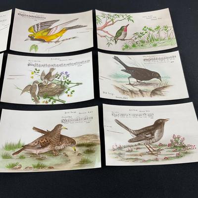 -165- POSTCARD | Assortment Of Bird Postcards