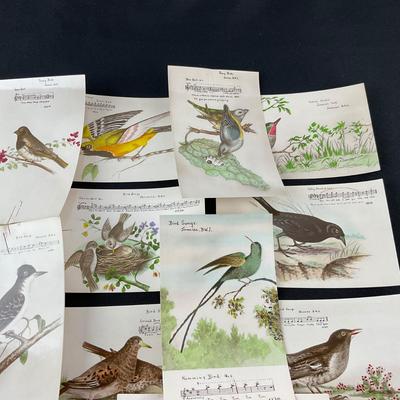 -165- POSTCARD | Assortment Of Bird Postcards